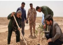 آغاز نهالکاری گسترده در غیزانیه اهواز با مشارکت مردم و دستگاه‌ها