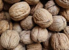 محکومیت قاچاقی گردو در اهواز