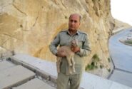 پیام تسلیت رئیس سازمان حفاظت محیط زیست در پی شهادت محیط بان هدایت الله دیده بان